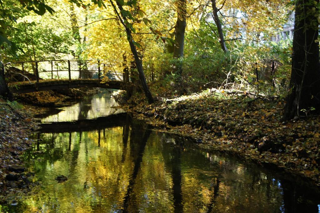 Palac I Folwark Brzeznica Brzeznica  Dış mekan fotoğraf